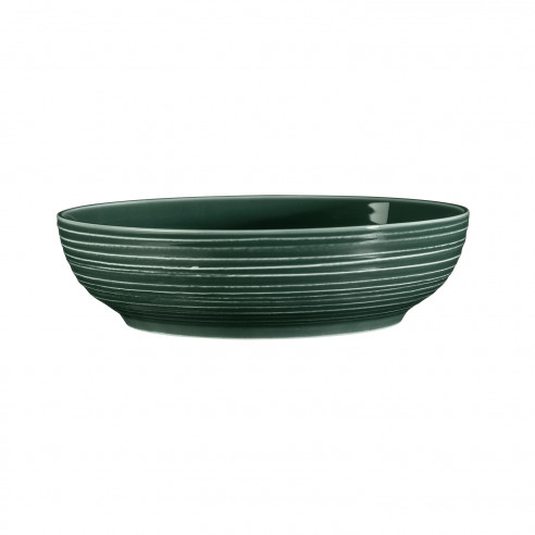Foodbowl 25 cm 00003 Terra